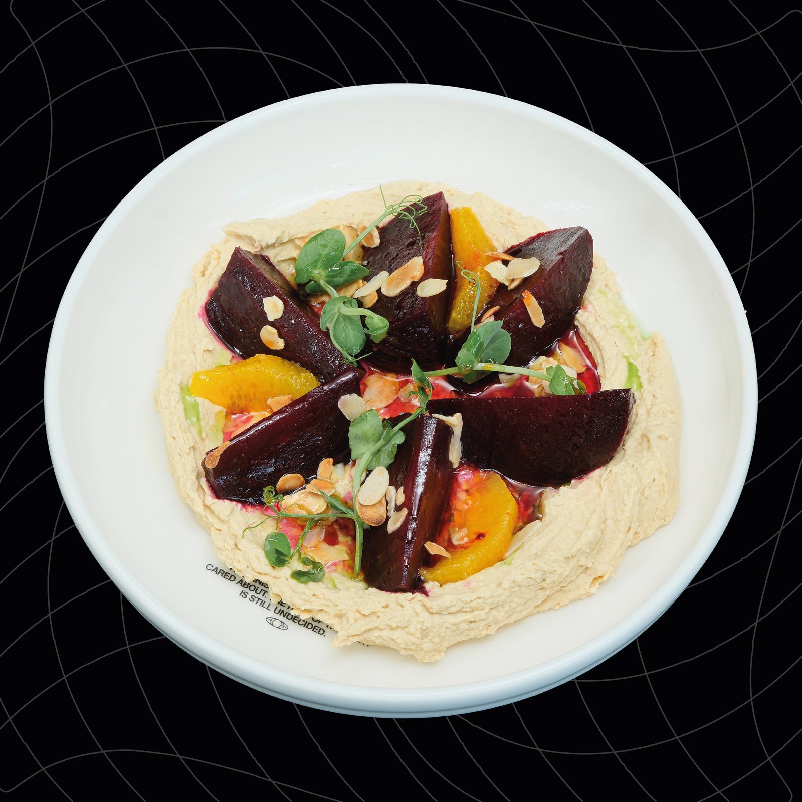 Humus Pancar